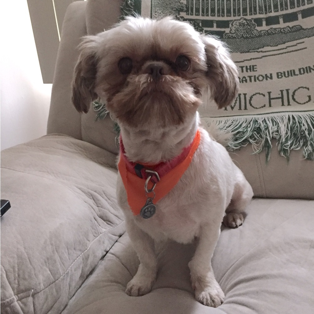 Meet your Posher, Tonja